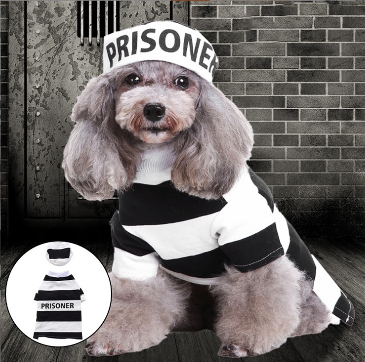 Halloween Pet Dress Up  Prisoner Dog Costume